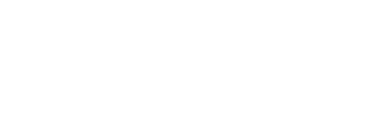 Steam